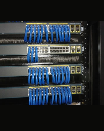 BARLOWORLD LAN4.jpg